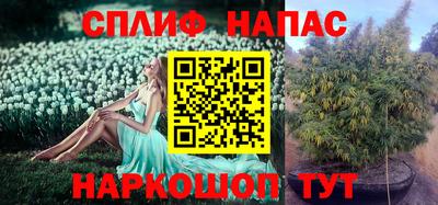 сатива Наро-Фоминск