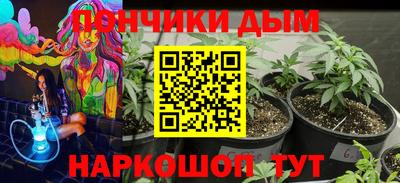 индика Нальчик