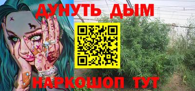 индика Нальчик