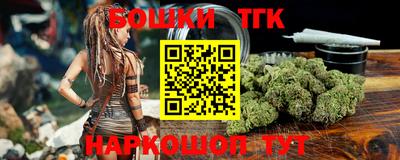 индика Нальчик