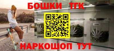 индика Нальчик