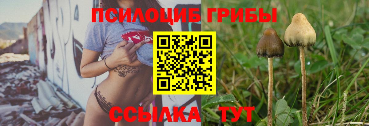 Сосновоборск  Галлюциногенные грибы ЛСД  Вход с VPN  Галлюциногенные грибы MAGIC MUSHROOMS 